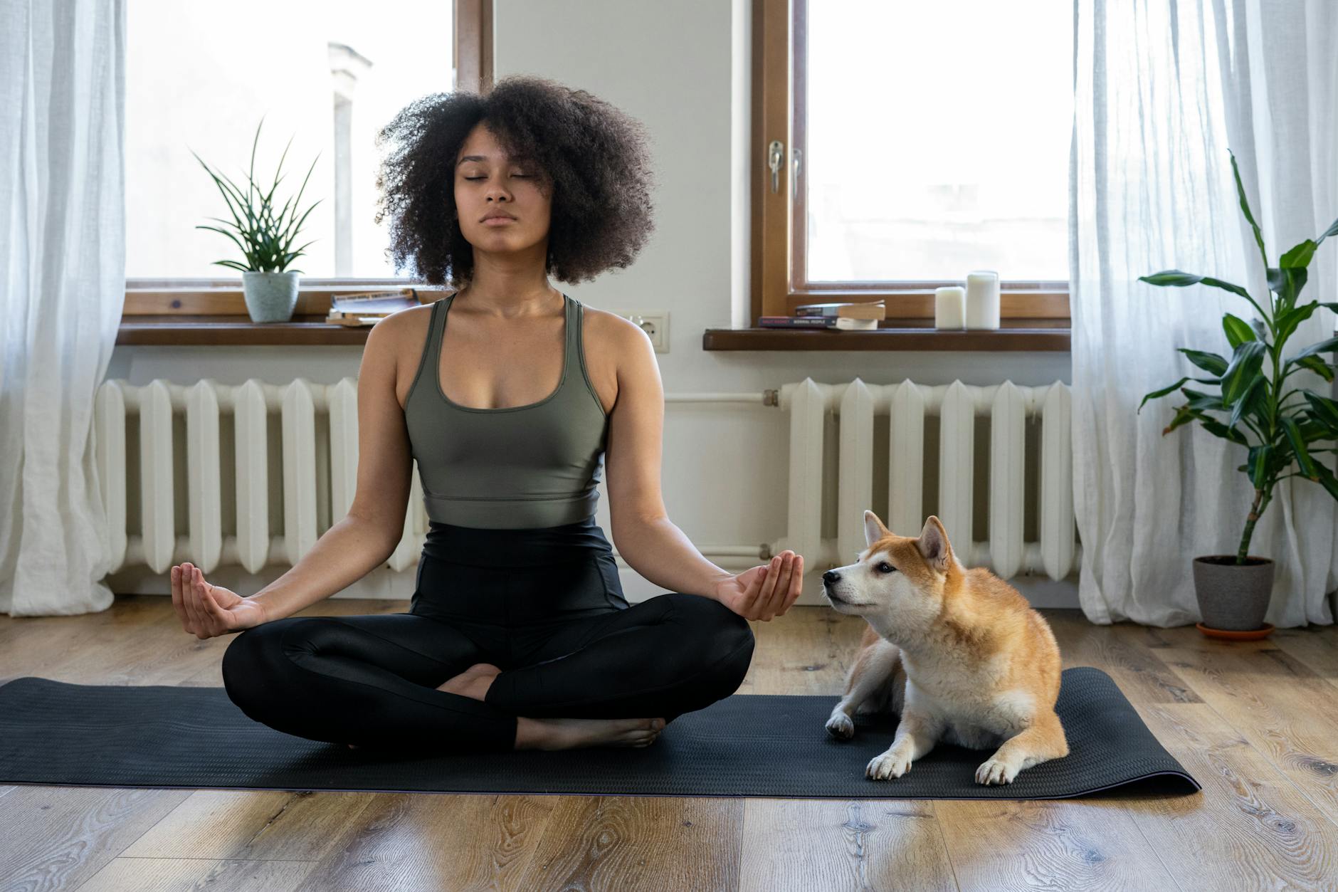 ShihTzu Yoga: Enhancing Bonding Through Relaxation Techniques